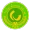 帕斯