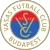 Vasas FC