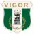 Vigor Lamezia