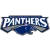 South Adelaide Panthers FC