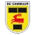 SC Cambuur Leeuwarden
